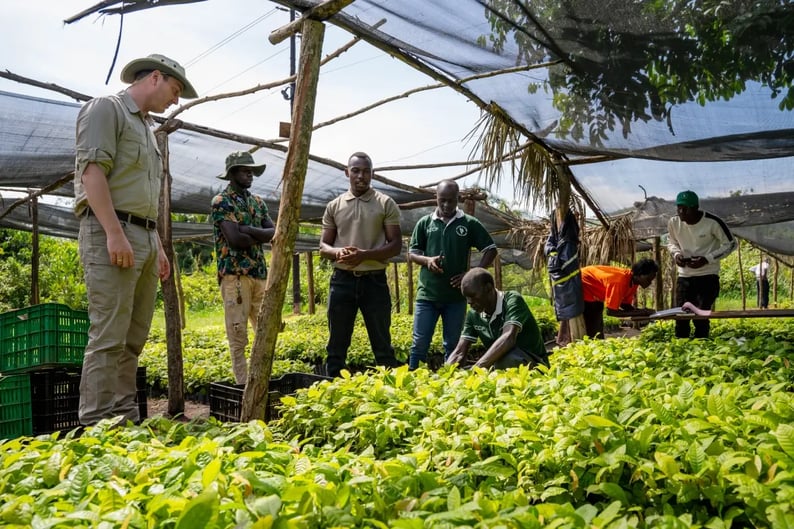 Our Bulindi Chimpanzees take the global stage on BBC’s Planet Earth III_visual 2