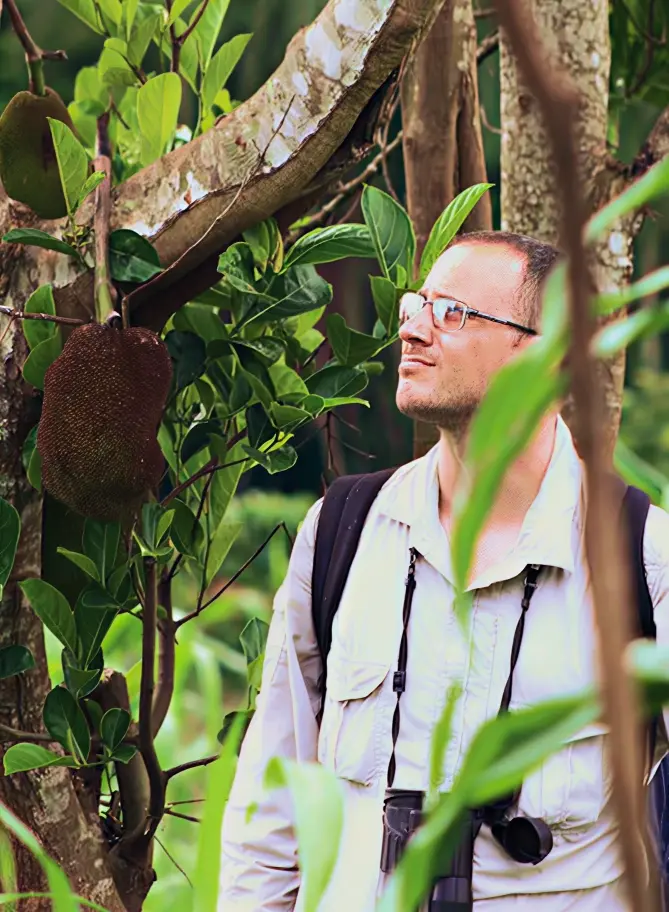 Where Do Wild Chimpanzees Live Today?